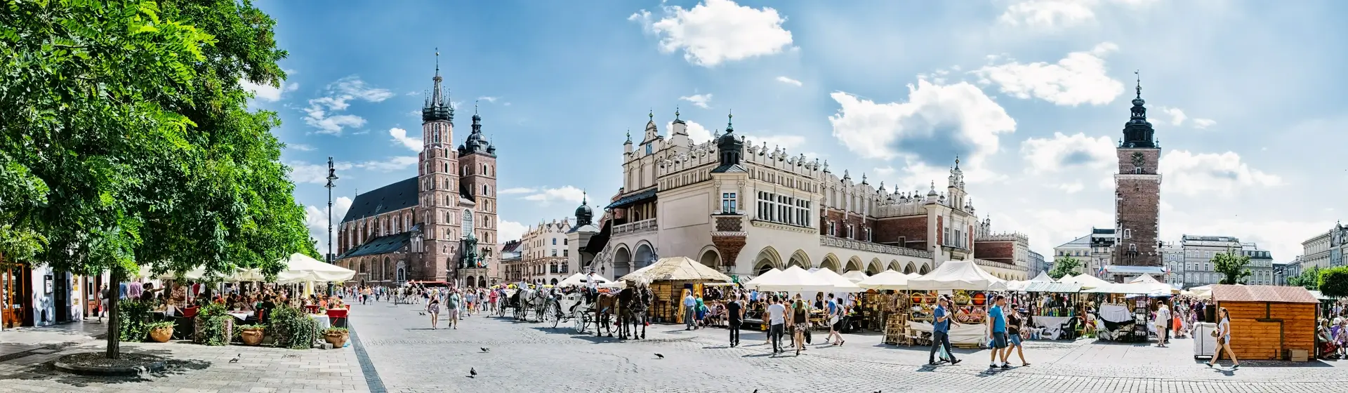 Rynek